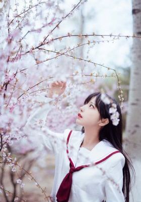灵笼第二季免费观看全集高清_剧情片在线视频播放
